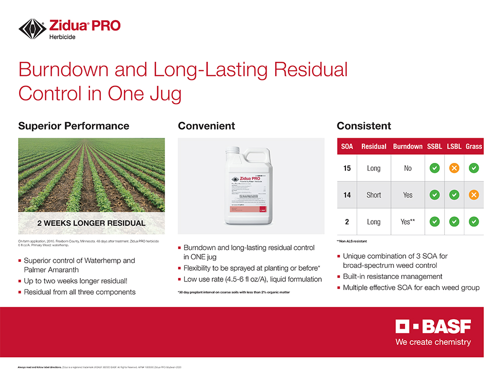 SCP Storyboard SCPF Zidua PRO 2020
