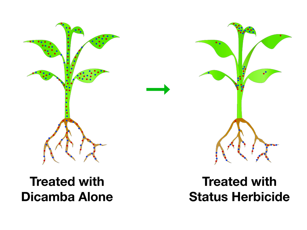 Storyboard - Status Herbicide Difference