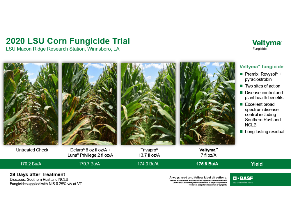 Storyboard - 2020 LSU Corn Fungicide Trial