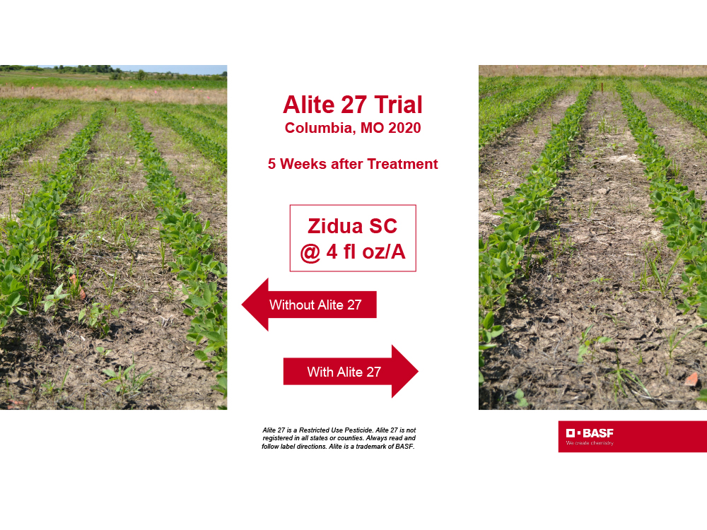 Storyboard - Alite27 Trial in Columbia, Missouri