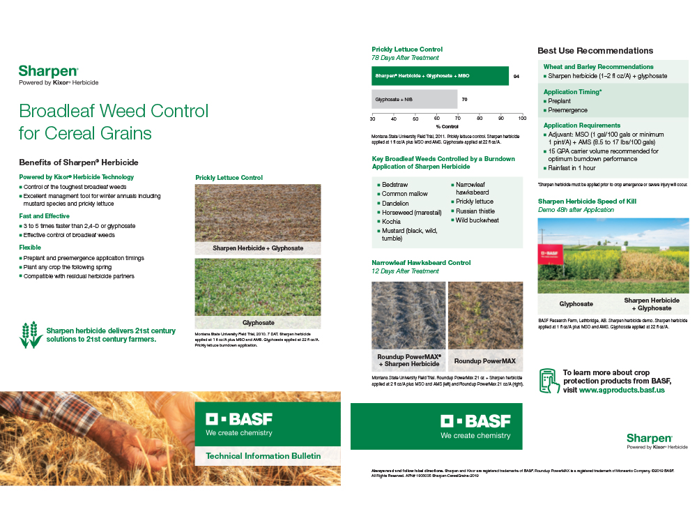 Storyboard - BASF Tech Bulletin Sharpen Cereal Grains 2019v3