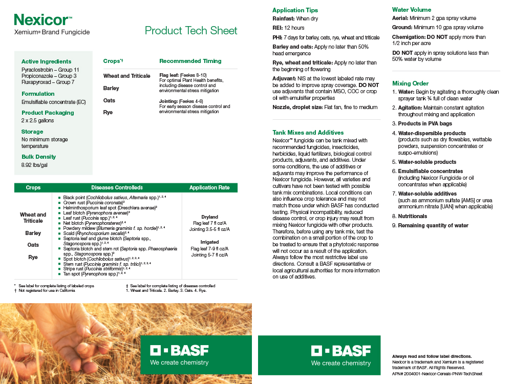 Storyboard - BASF Tech Insert Plant Health Nexicor Cereals PNW