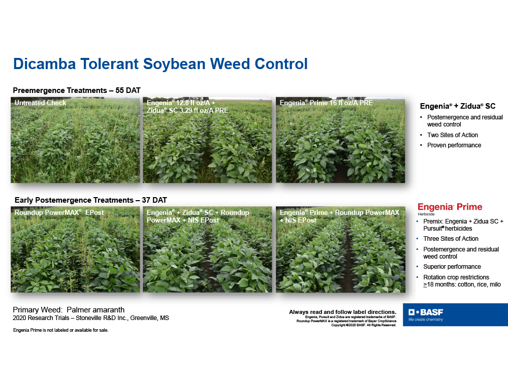 Storyboard - Dicamba Tolerant Soybean Weed Control