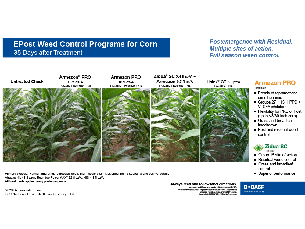 Storyboard - EPost Weed Control Programs for Corn