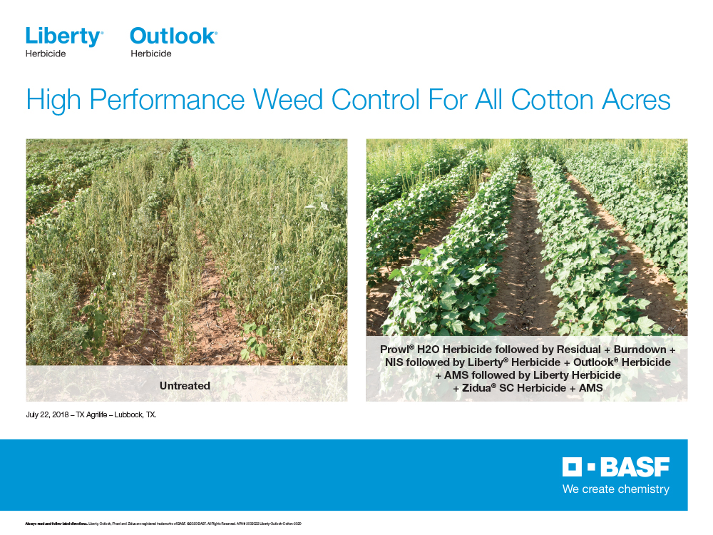 Storyboard - Liberty Outlook High Performance Weed Control for Cotton page2