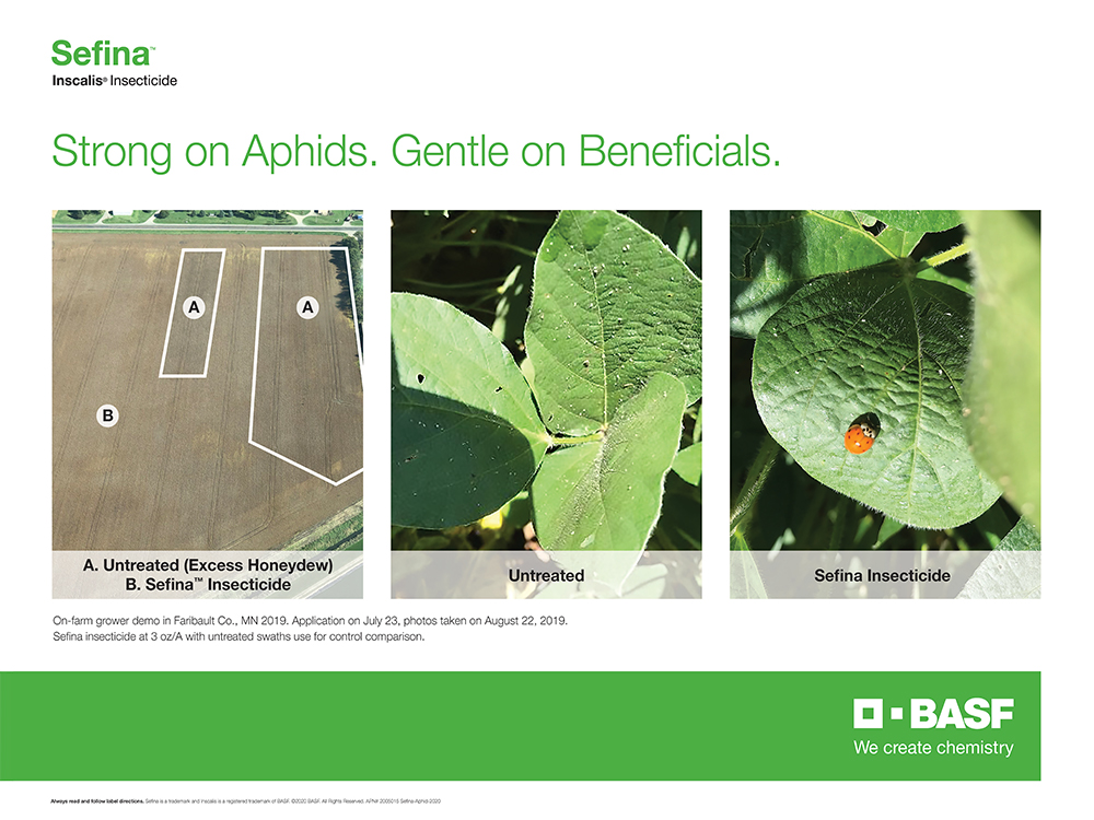 Storyboard - Sefina Inscalis Insecticide - Gentle on Beneficials