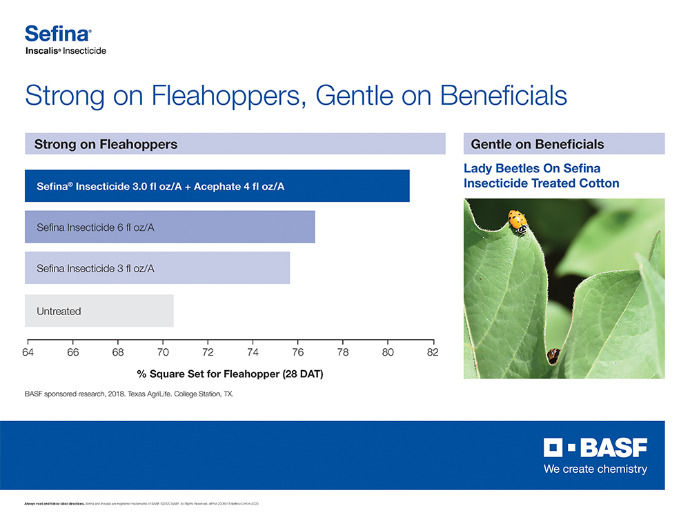 Storyboard - Sefina Inscalis Insecticide is Strong on Fleahoppers