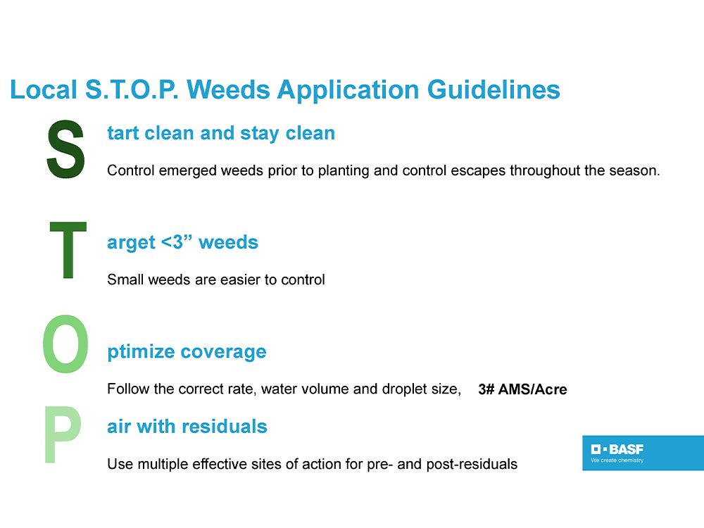 Storyboard - Local S.T.O.P. Weeds Application Guidelines