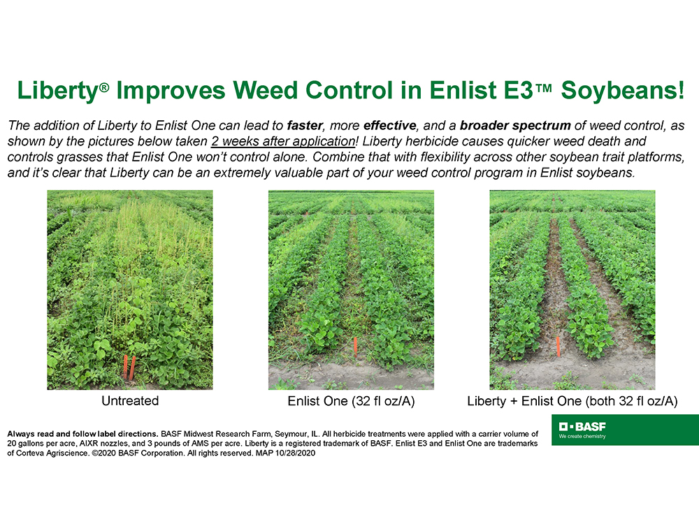 Storyboard-Liberty Improves Weed Control in Enlist E3 Soybeans