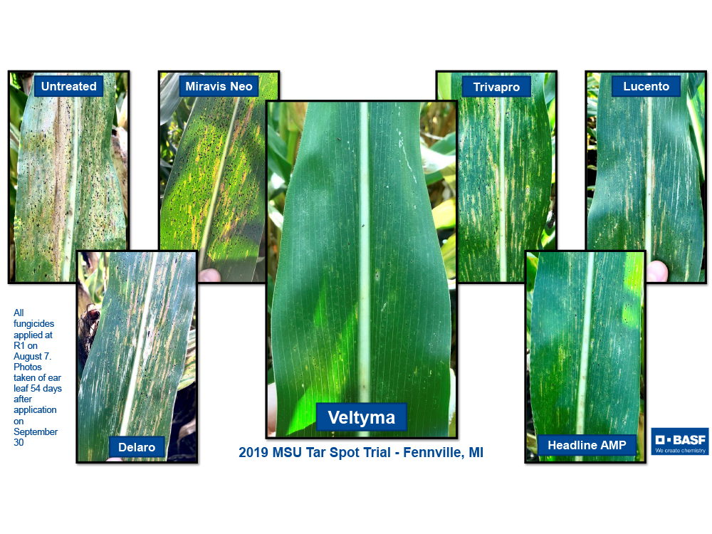 Storyboard - MSU Veltyma 2019 and 2020 Trial Data 