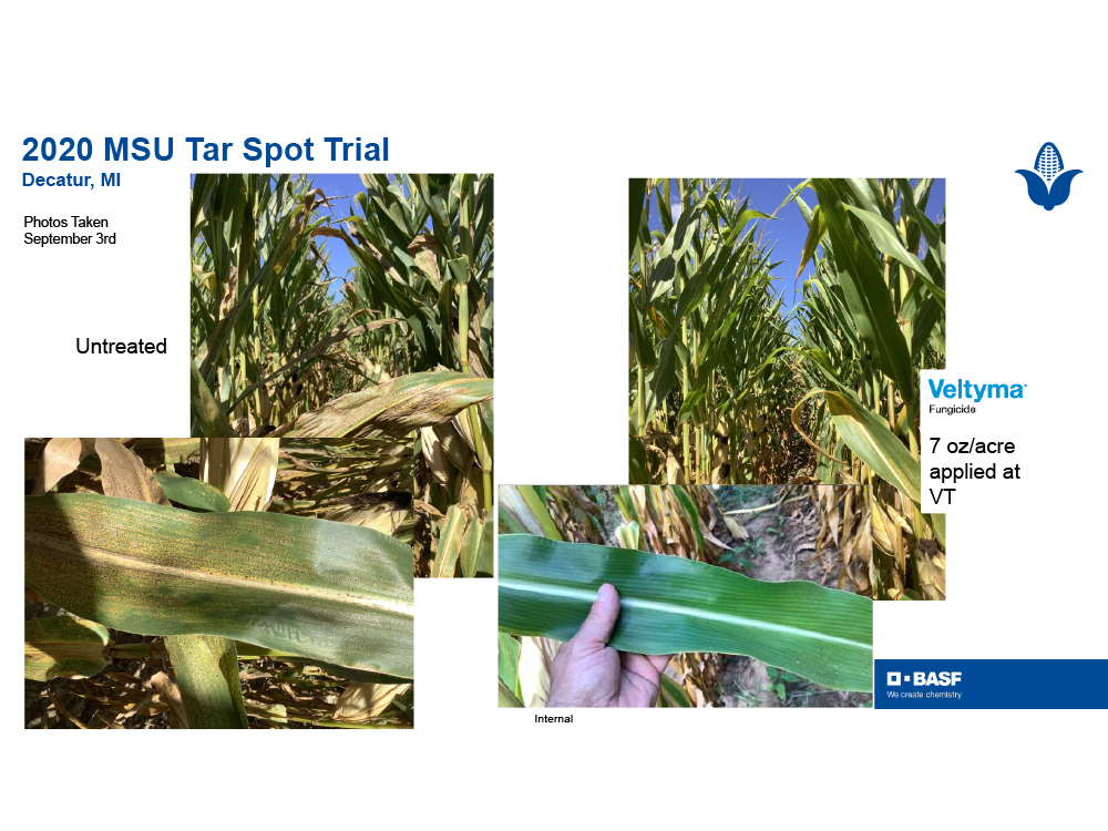 Storyboard - MSU Veltyma 2019 and 2020 Trial Data pg04