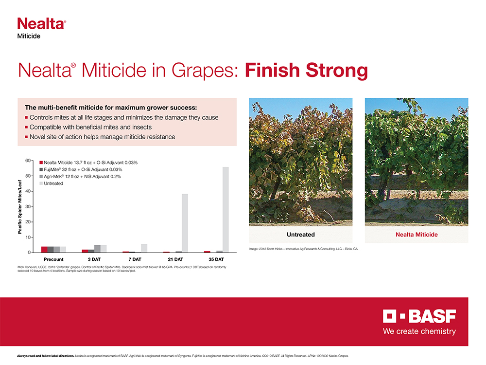 Storyboard - Nealta Almonds Grapes page 2