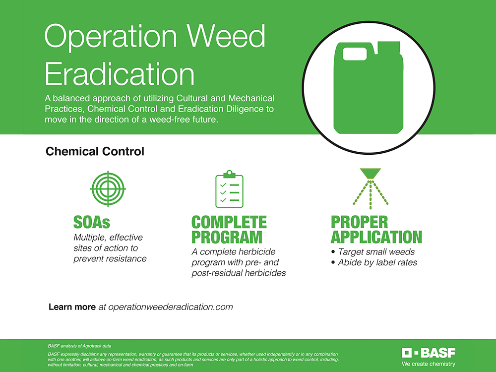 Storyboard - Operation Weed Eradication Chemical control practices