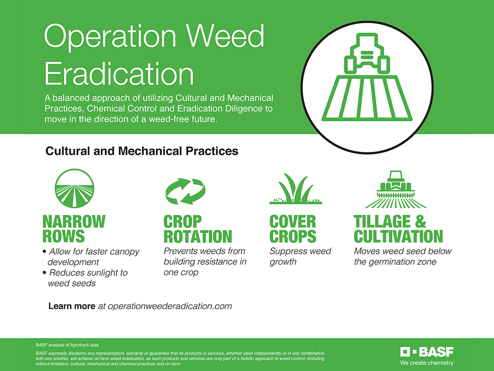 Storyboard - Operation Weed Eradication Cultural and Mechanical practices