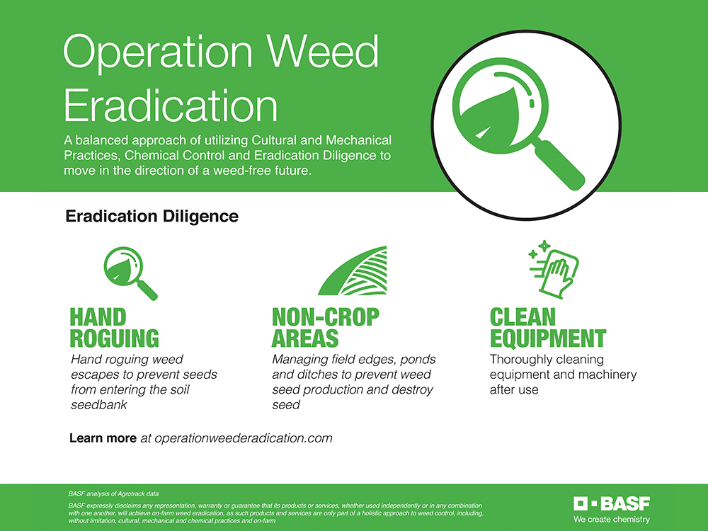 Storyboard - Operation Weed Eradication, Eradication Diligence practices