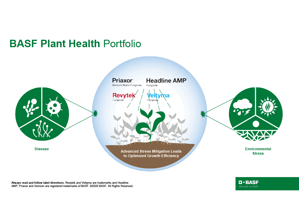 Storyboard - BASF Plant Health Portfolio