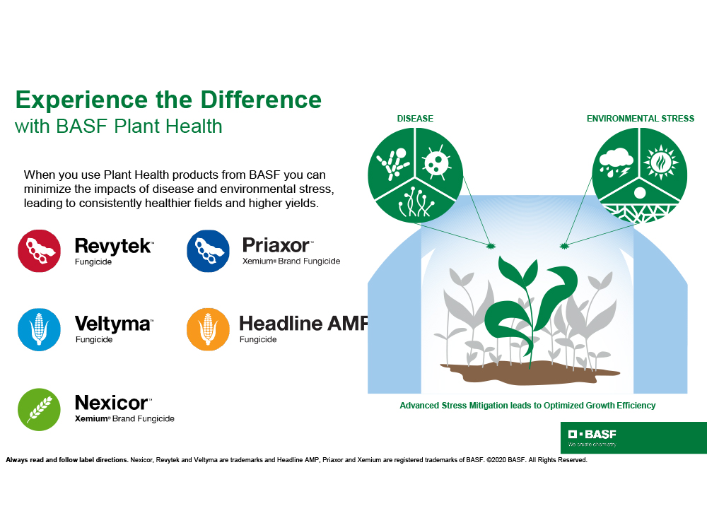 Storyboard - Experience the Difference with BASF Plant Health