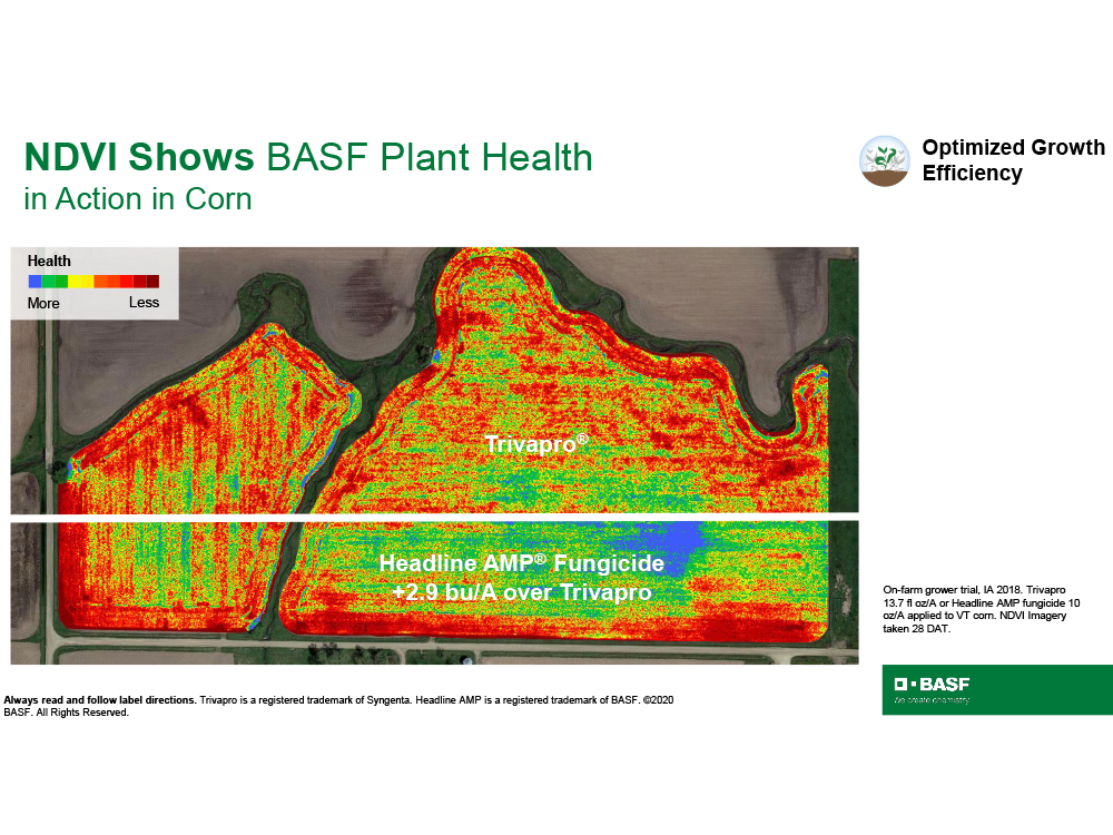 Storyboard - NDVI shows BASF Plant Health in action in corn