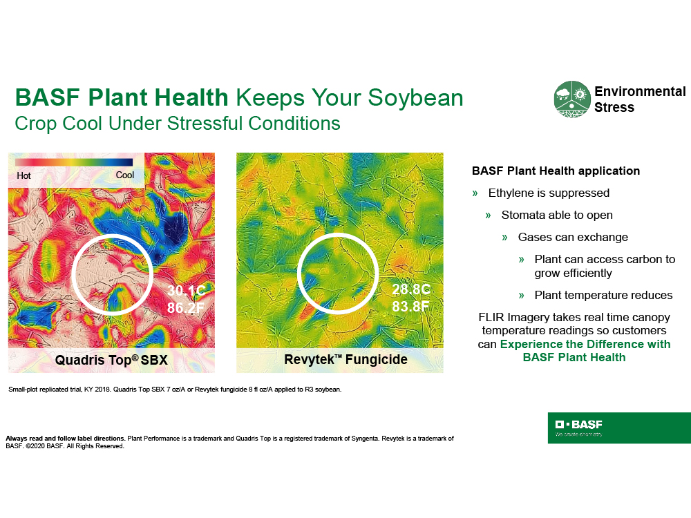 Storyboard - BASF Plant Health keeps your soybean crop cool under stressful conditions