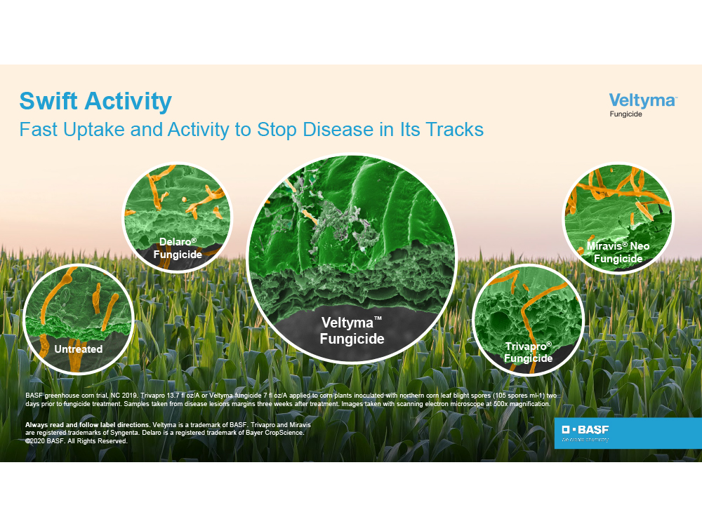 Storyboard - Swift Activity - Veltyma Fungicide