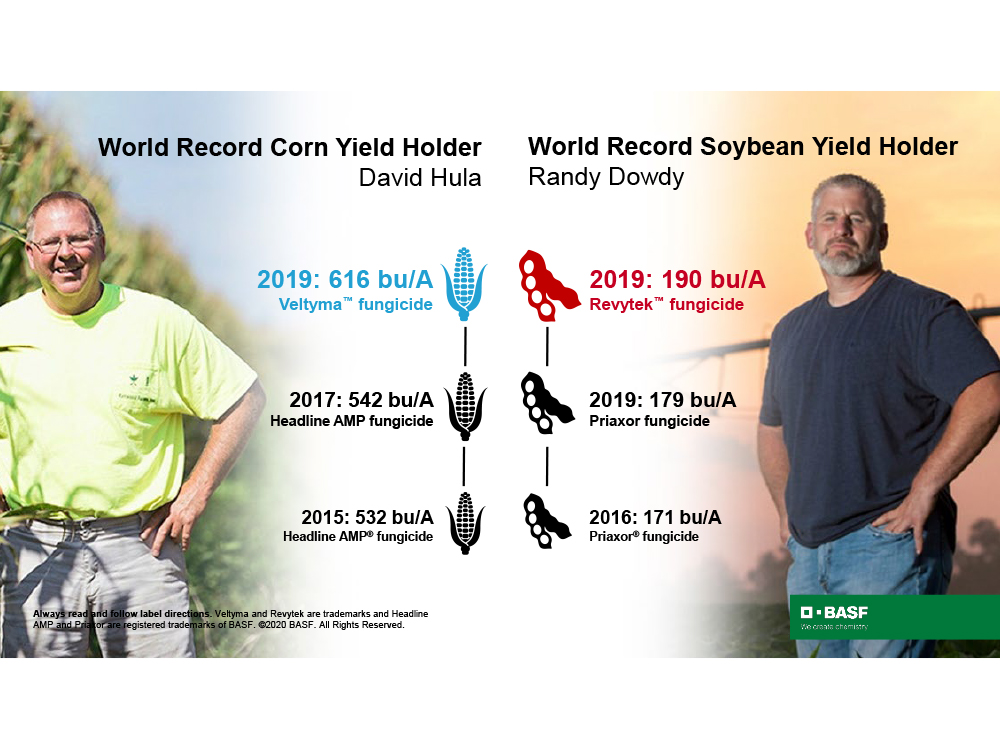 Storyboard - World Record Yields