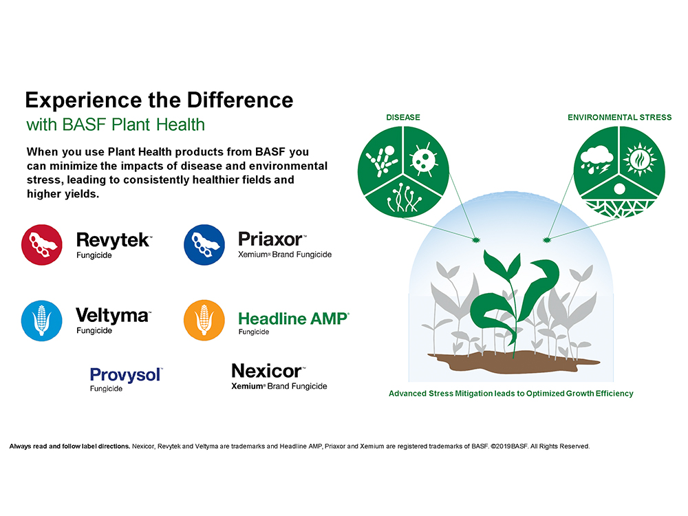 Storyboard - Experience the Difference with BASF Plant Health