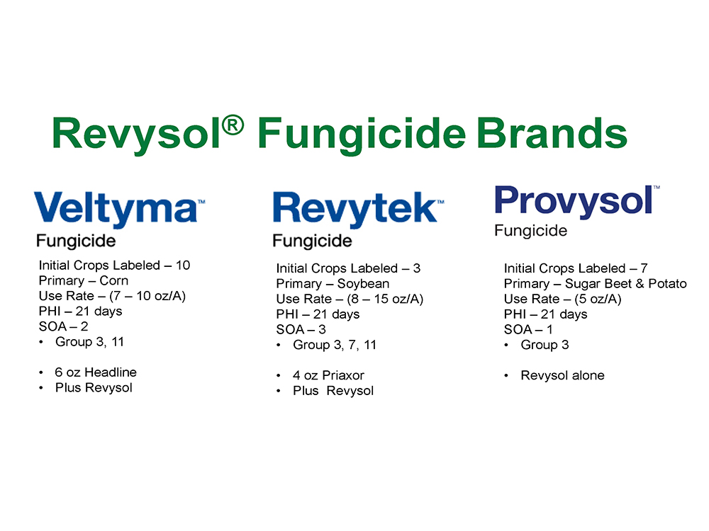 Storyboard - Revysol Fungicide Brands