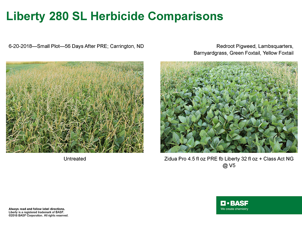 Storyboard - Liberty 280 SL Herbicide Comparisons