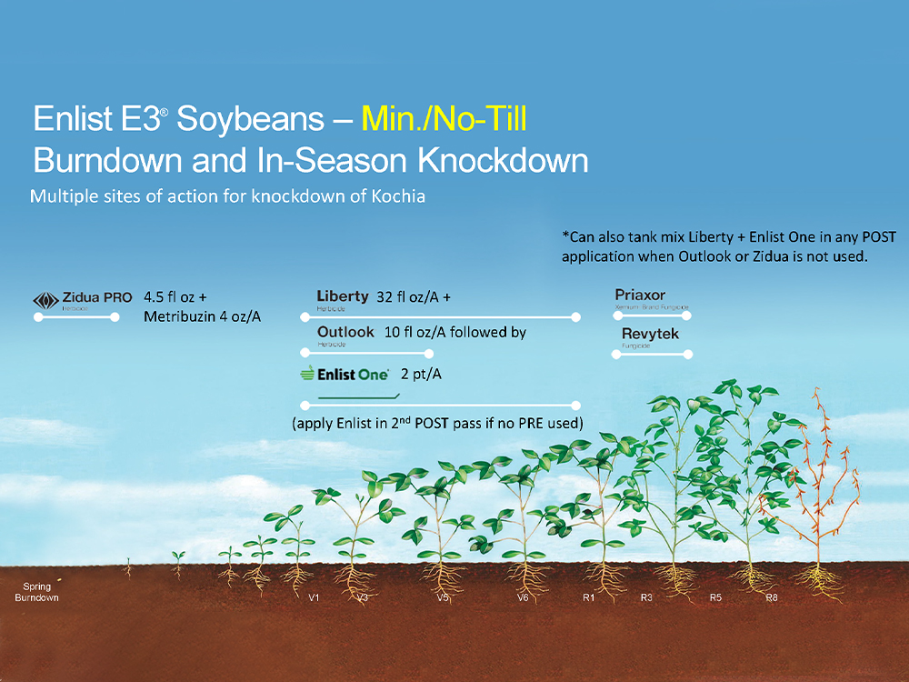 Storyboard - Liberty Enlist E3 Soybeans - No or Minimum Till