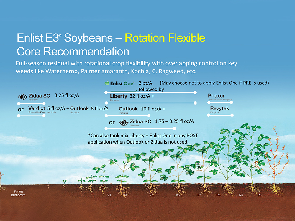 Storyboard - Liberty Enlist E3 Soybeans - Rotation Flexible