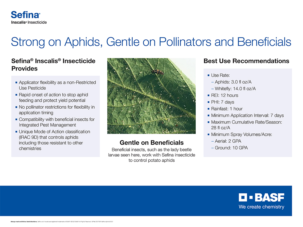 Storyboard - Sefina Insecticide is Strong on Aphids