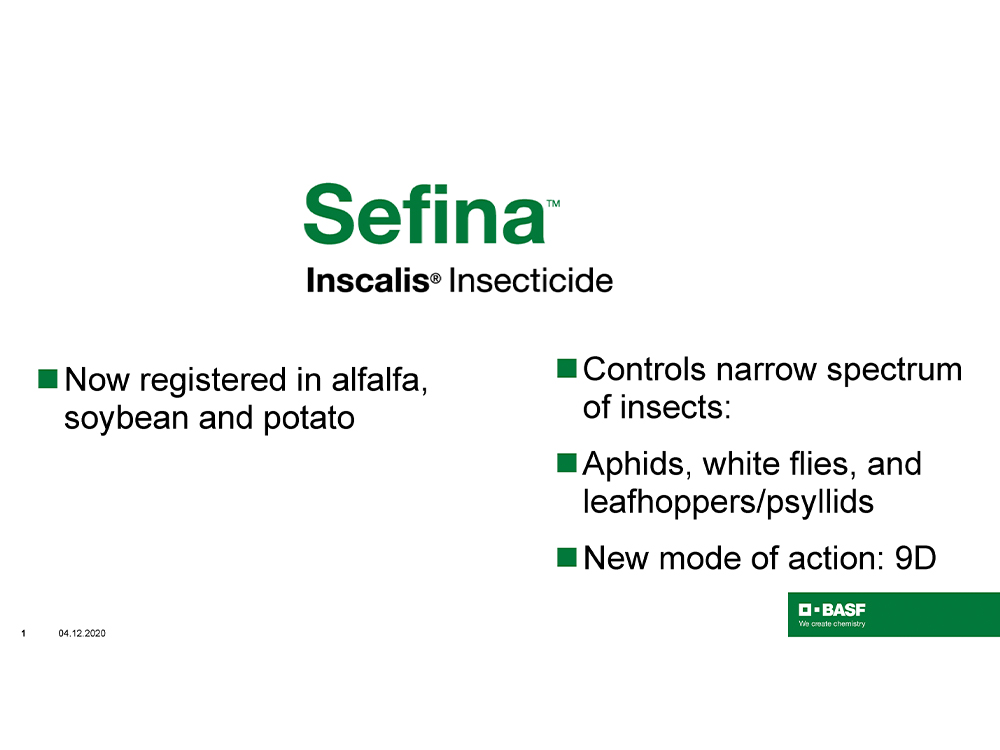 Storyboard - Sefina Inscalis Insecticide pg 1
