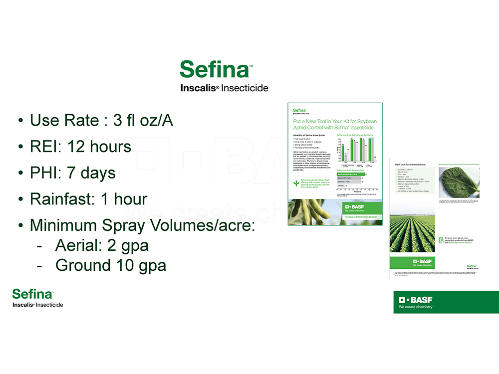 Storyboard - Sefina Inscalis Insecticide pg 3