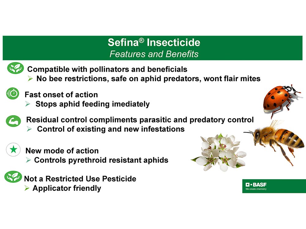 Storyboard - Sefina Insecticide Features and Benefits