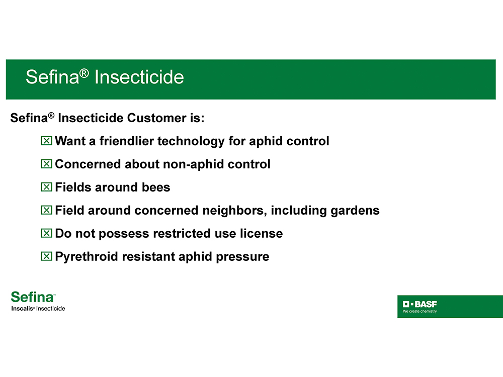 Storyboard - Sefina Inscalis Insecticide pg 7