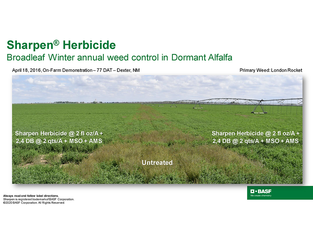 Storyboard - Sharpen Herbicide - Broadleaf Winter Annual Weed Control Dormant Alfalfa