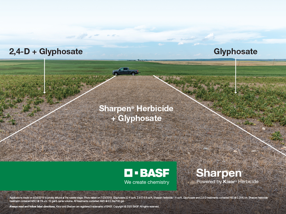 Storyboard - Sharpen® Herbicide plus Glyphosate