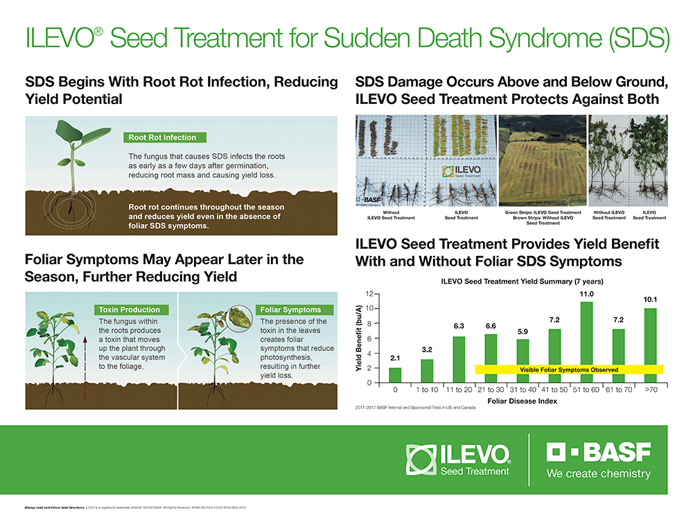 Storyboard - ILEVO Seed Treatment for Sudden Death Syndrome (SDS)