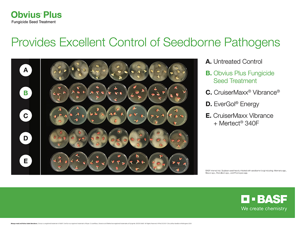 Storyboard - Obvius Plus provides excellent control of seedborne pathogens
