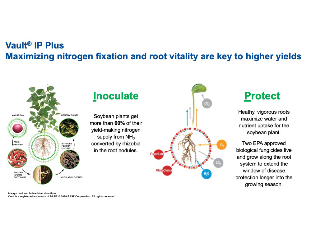 Storyboard - Vault IP Plus, Maximizing Nitrogen Fixation