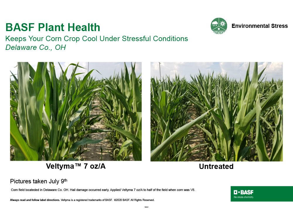 Storyboard - Veltyma Plant Health in Corn